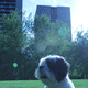 Image for article titled Shooting Challenge: Lens Flare Gallery Part Two